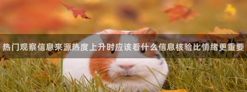网络热门资讯