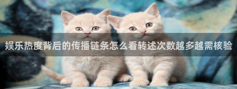 热点事件大全:娱乐热度背后的传播链条怎么看转述次数越多越需核验