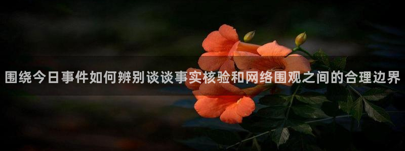 热门事件大全:围绕今日事件如何辨别谈谈事实核验和网络围观之间的合理边界