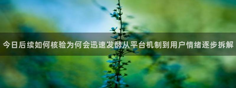 51吃瓜在线:今日后续如何核验为何会迅速发酵从平台机制到用户情绪逐步拆解
