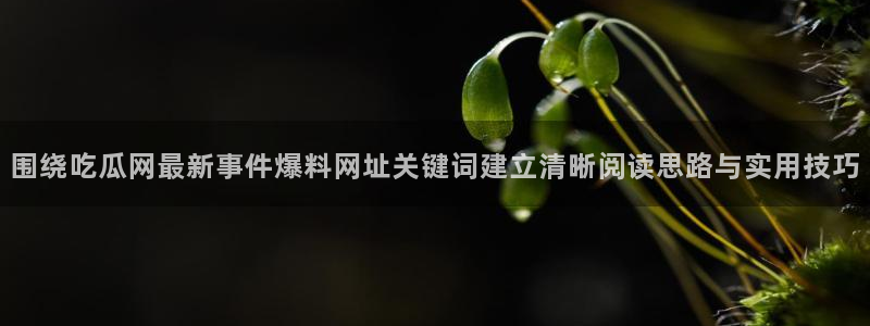 吃瓜网:围绕吃瓜网最新事件爆料网址关键词建立清晰阅读思路与实用技巧