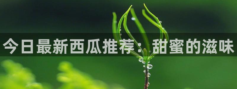 51吃瓜网络新闻:今日最新西瓜推荐:甜蜜的滋味